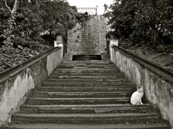 Escalas: todos las usamos